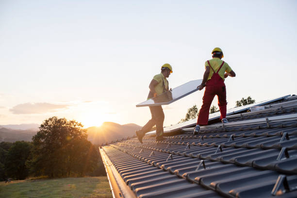 Best Gutter Installation and Repair  in Downs, IL
