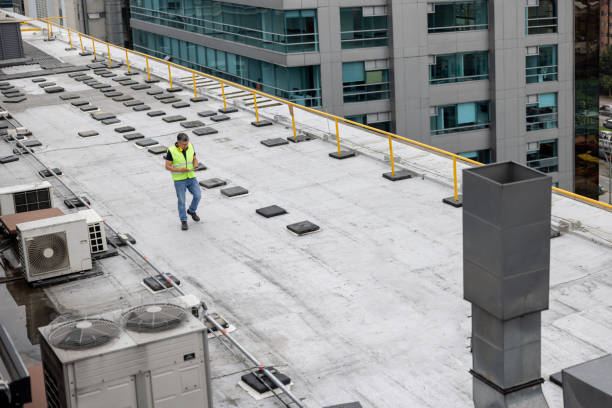 Best Asphalt Shingles Roofing  in Downs, IL