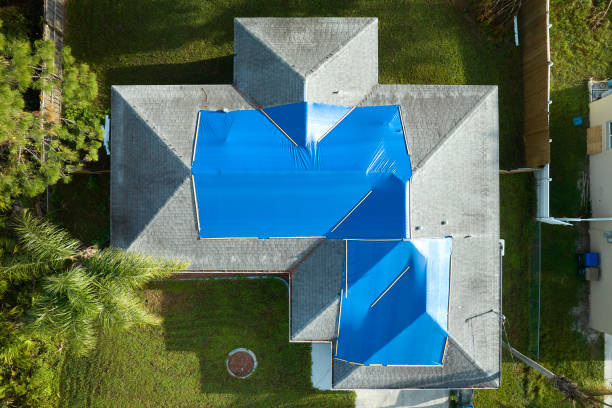 Best Roofing for New Construction  in Downs, IL